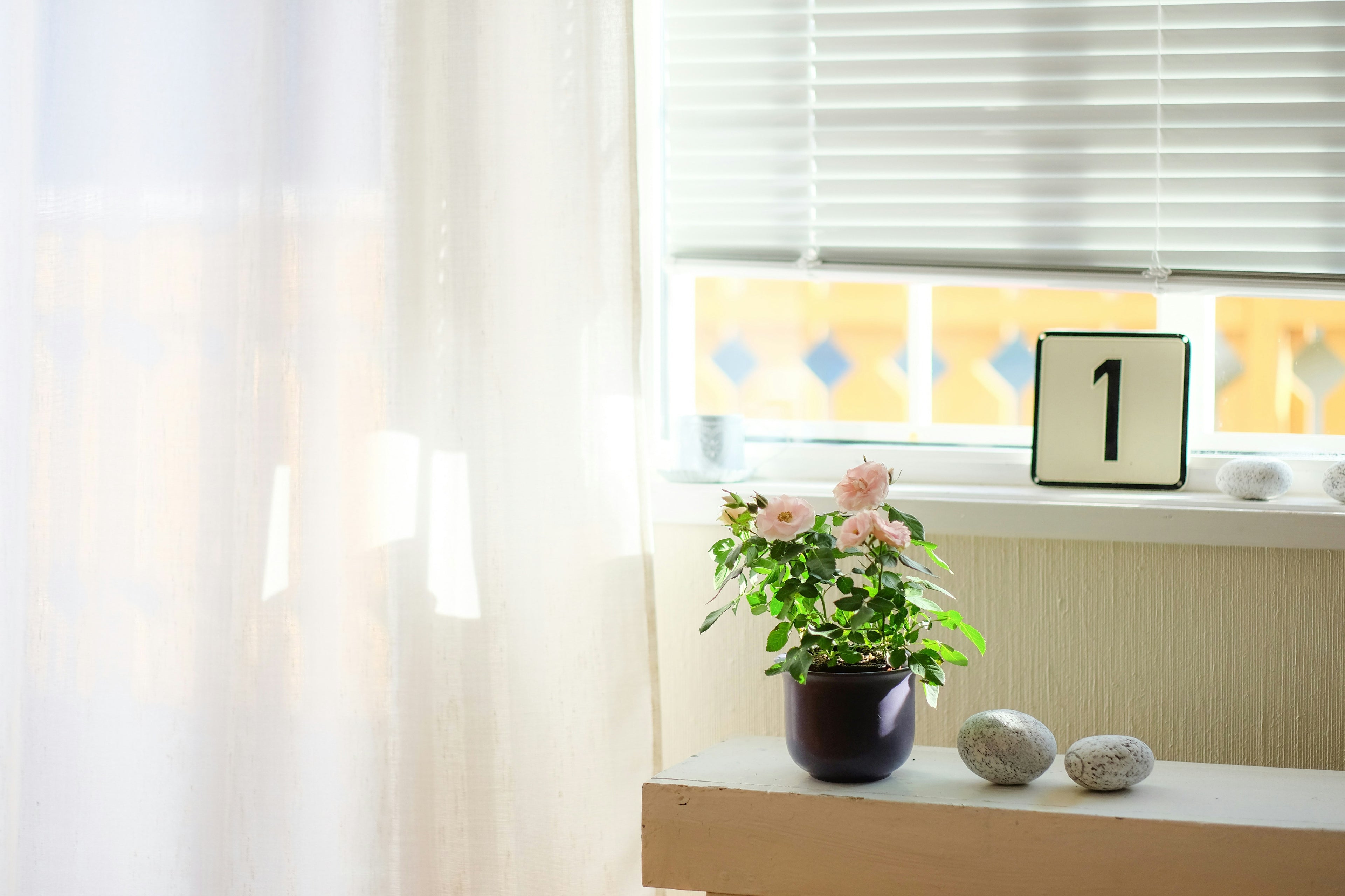 slider image 1621243260e1af0c20-0